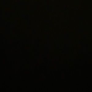 Meet your Posher, Molly